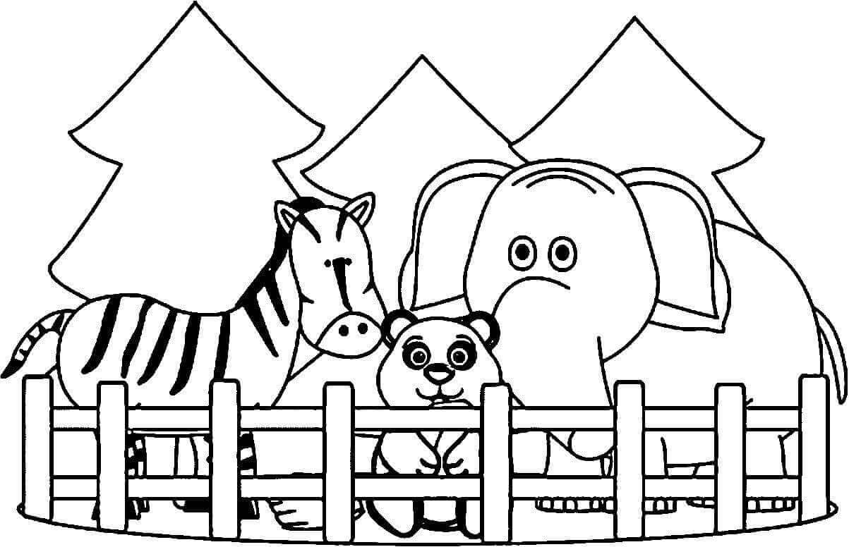 zoo coloring pages template