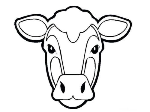 30 Free Cow Coloring Pages Printable