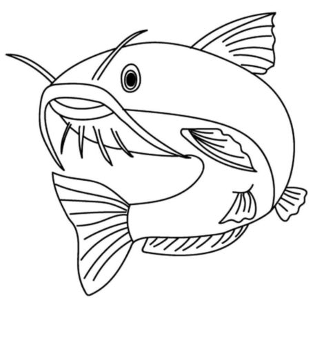 35 Free Fish Coloring Pages Printable