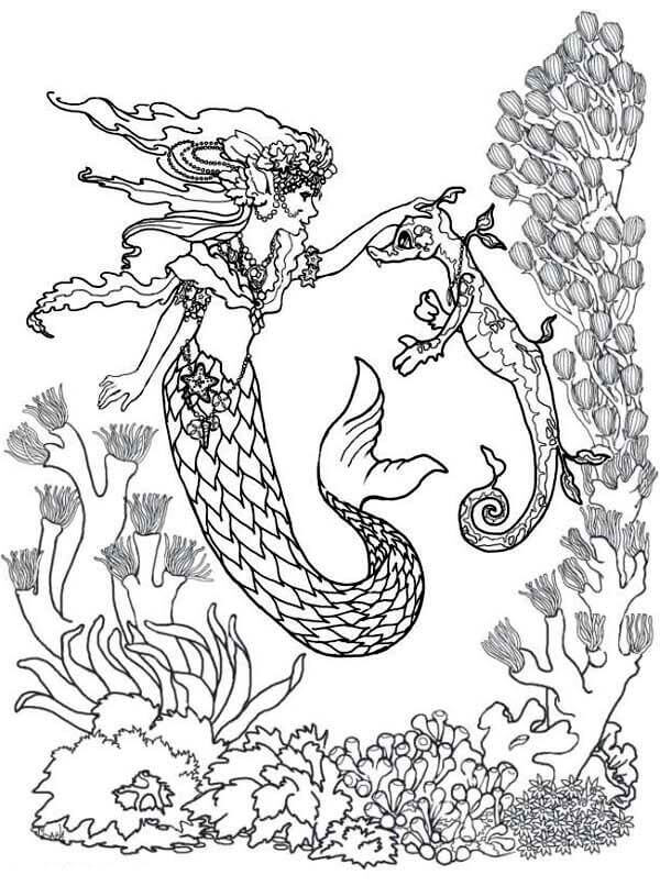 Mermaid With Her Seahorse Coloring Page
