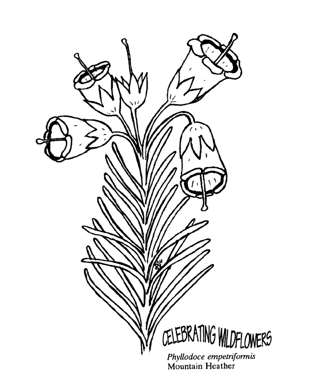 Heather Autumn Or Fall Coloring Pages