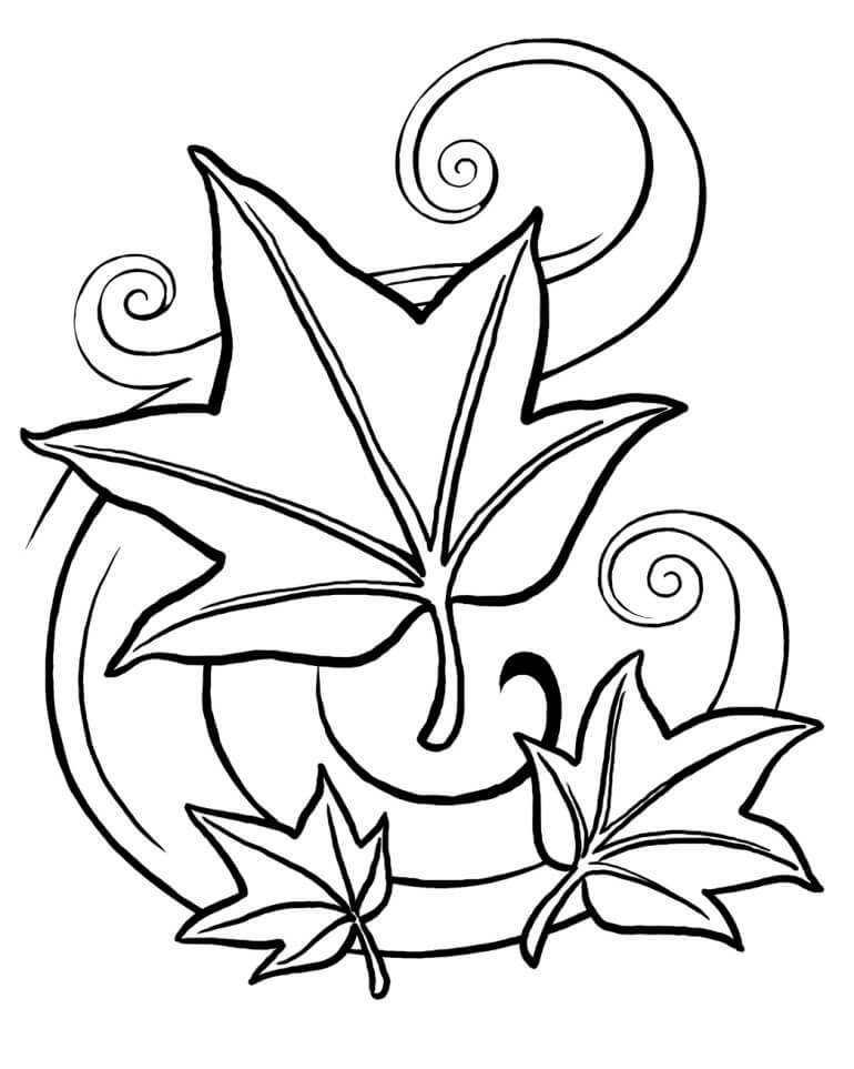 Autumn Or Fall Maple Leaf Coloring Pages