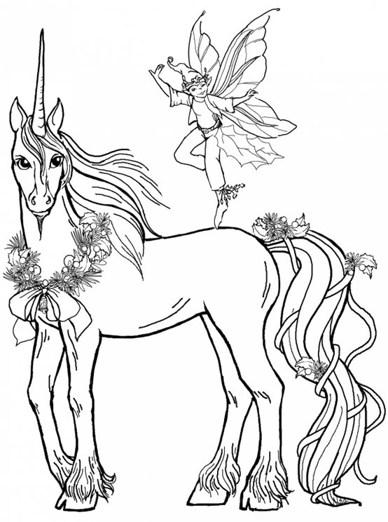 Fairy And Unicorn coloring page