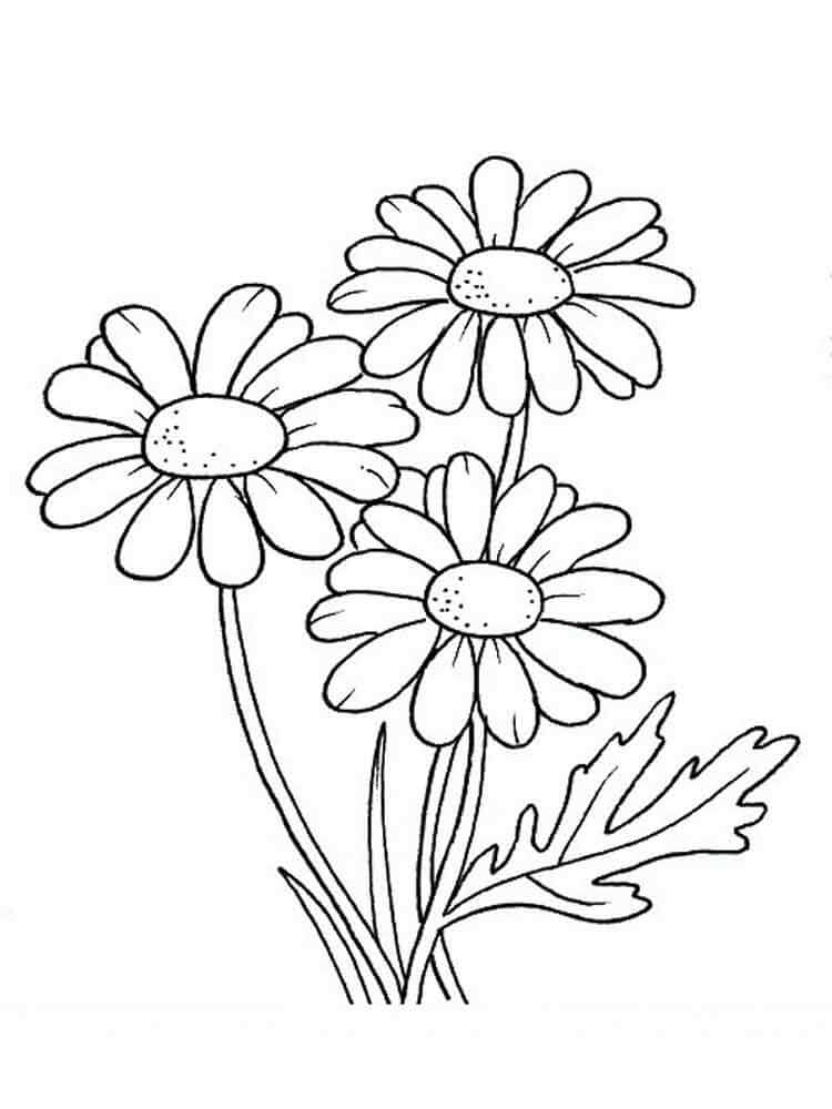 30 Printable Autumn Or Fall Coloring Pages