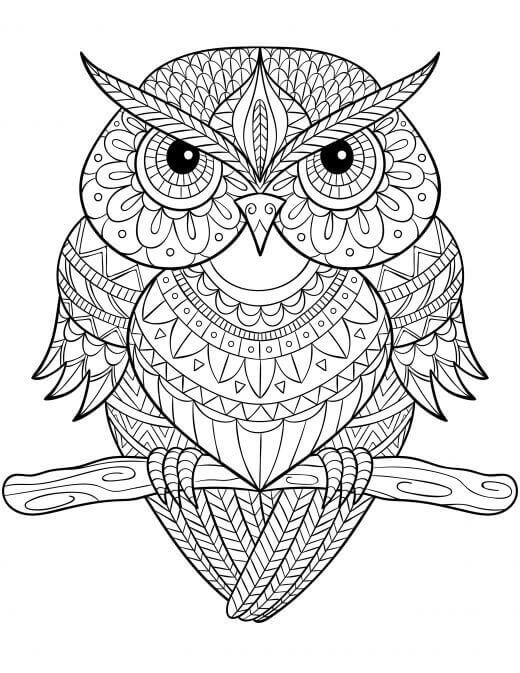 Owl Mandala Coloring Page