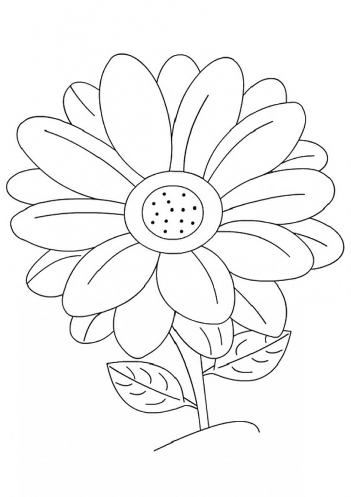 Daisy flowers coloring pages