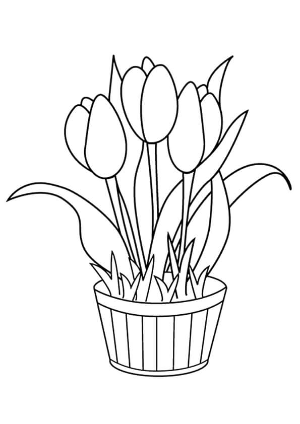 37 Tulip flowers coloring pages