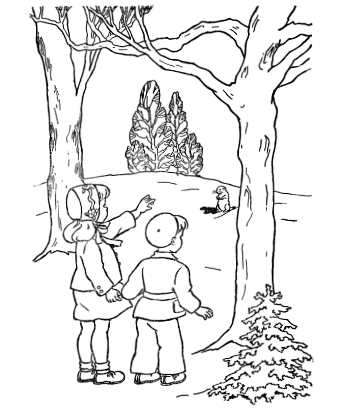 Groundhog coloring pages