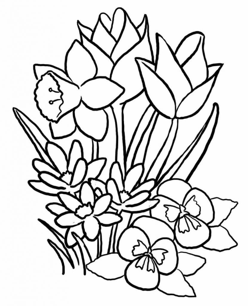 Free Spring Flowers Coloring Pages
