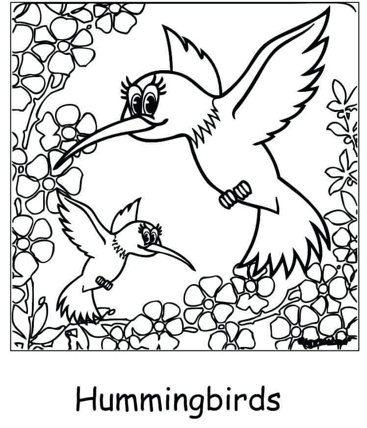 Printable Spring Coloring Pages Hummingbird