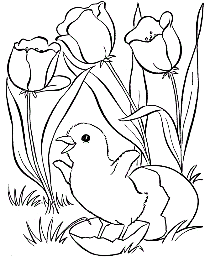 Spring Coloring Sheets For Kids
