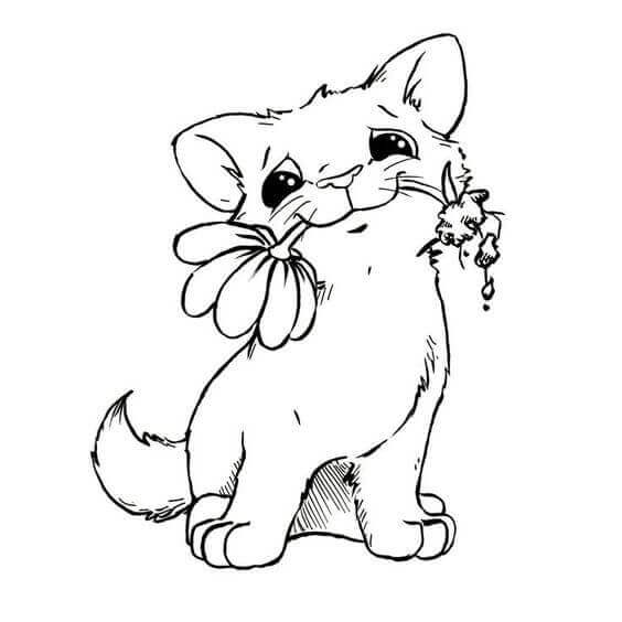 Baby Cat Coloring Pages