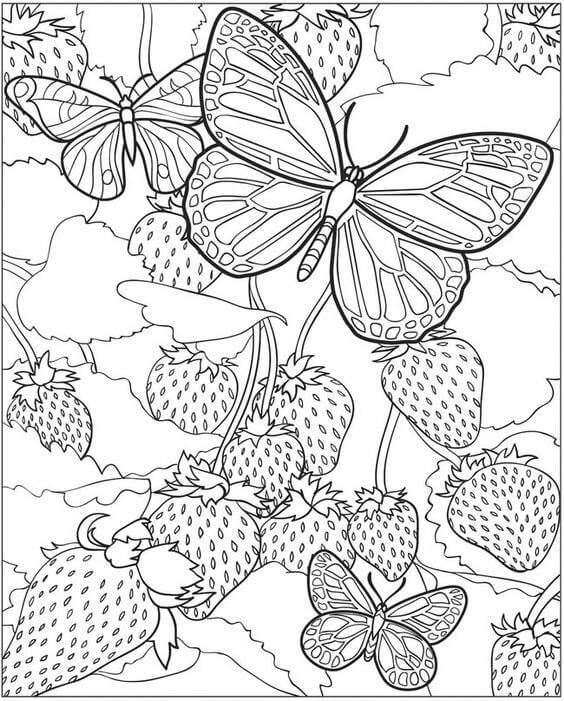 Butterflies In Strawberry Field Coloring Page