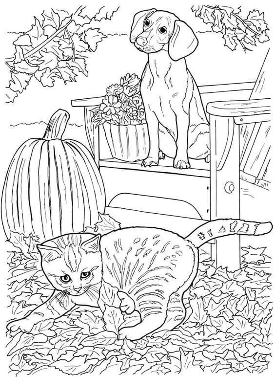 Cat And Dog Coloring Page