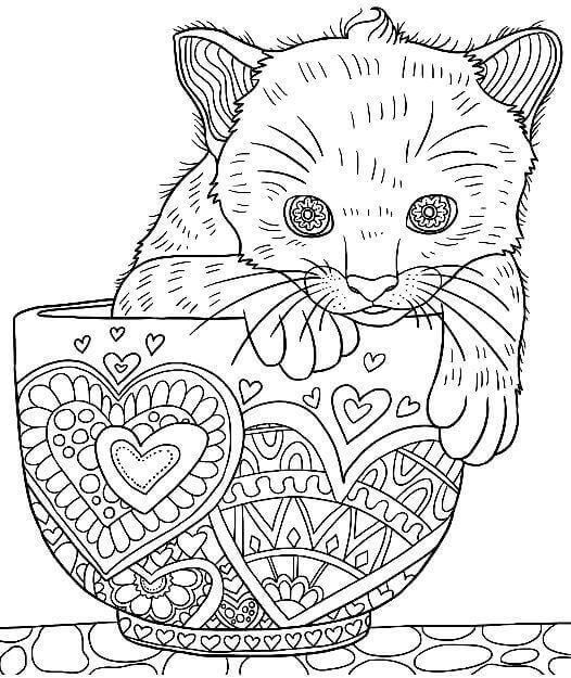 Featured image of post Cat Colouring Pages For Kids 9 cute cat coloring pages