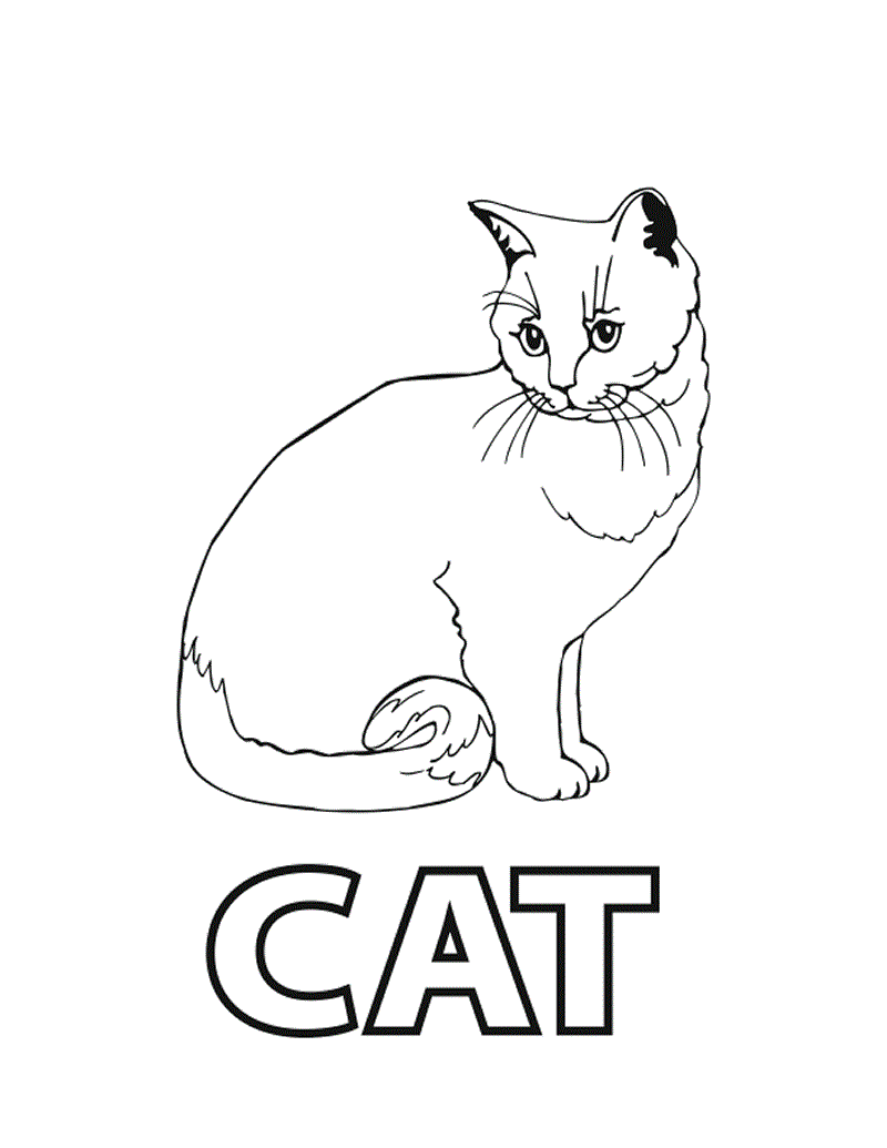 Cat Coloring Pages For Preschoolers