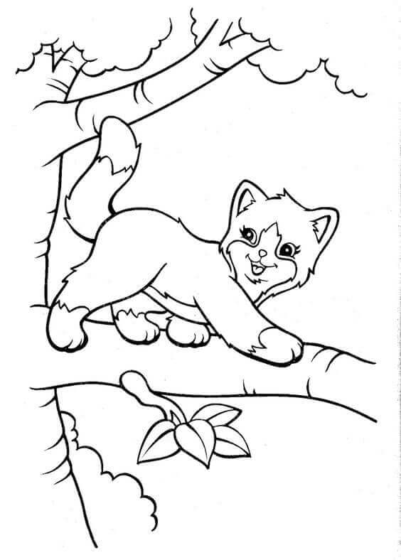 Cat On Tree Coloring Page