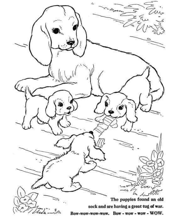 Featured image of post Puppy Coloring Sheets