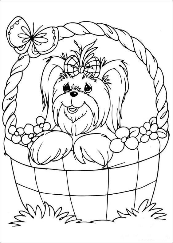 Cute Dog Coloring Page