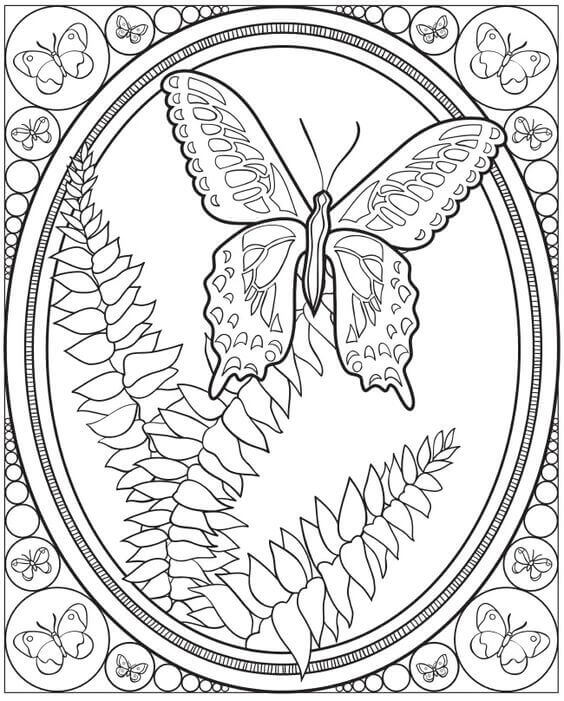 Detailed Butterfly Coloring Pages