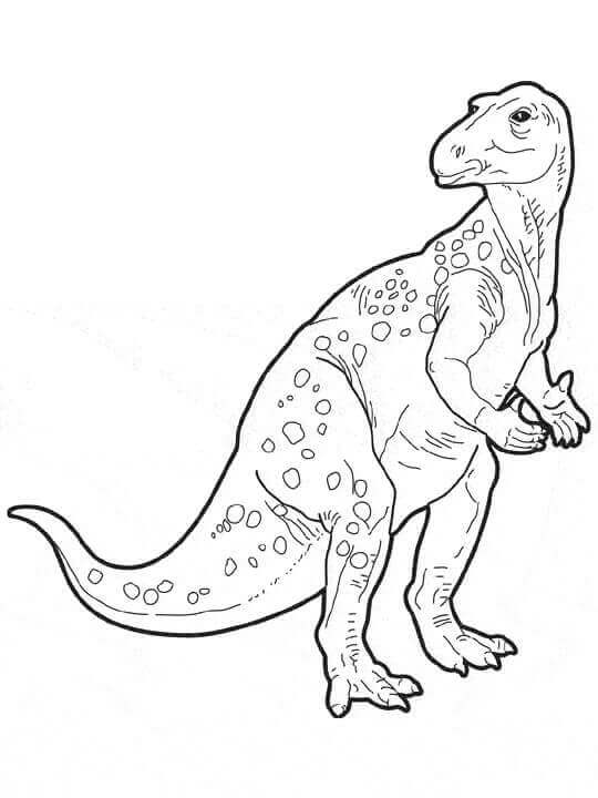 Dinosaur Coloring Pictures