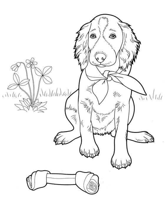 Dog With The Bone Coloring Page