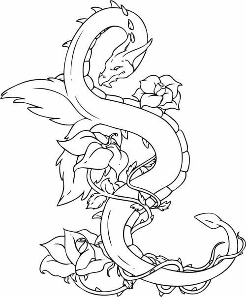 Dragon Tattoo Coloring Pages