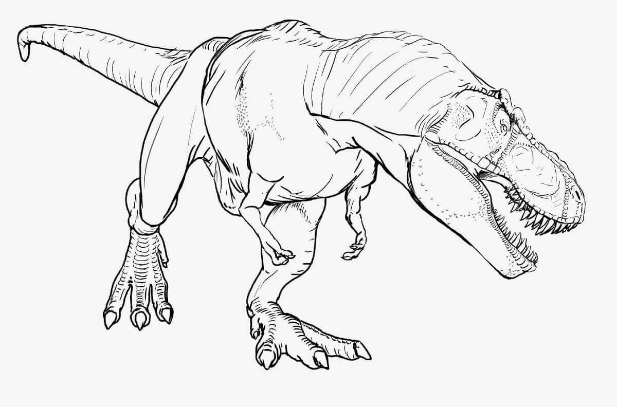 Free T Rex Coloring Pages For Kids