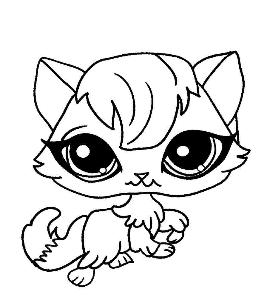 Littlest Pet Shop Coloring Pages Madame Pom