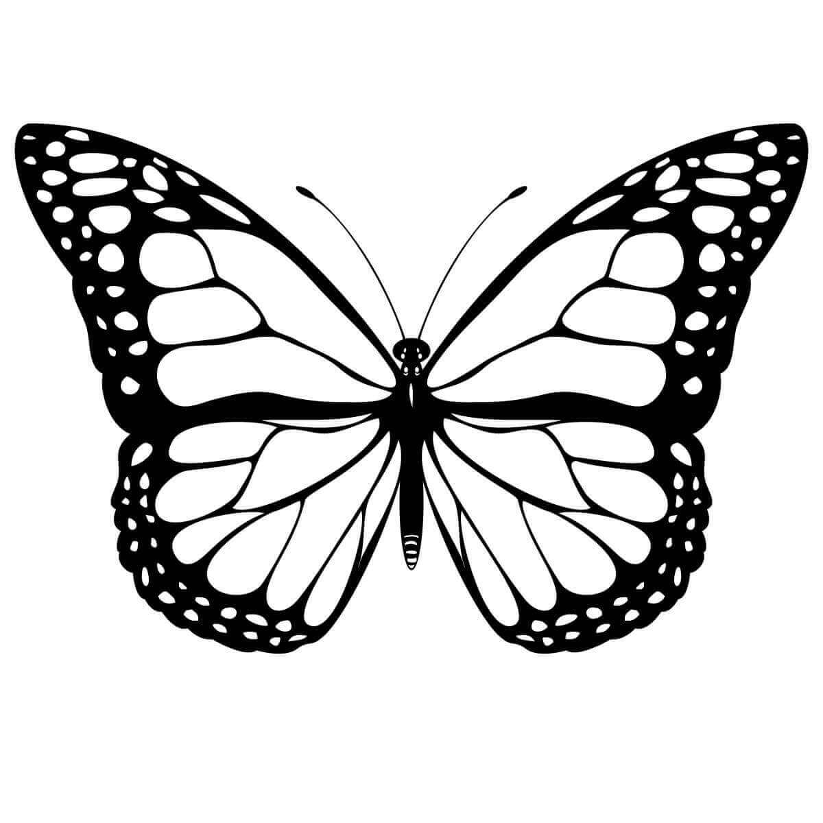 Monarch Butterfly Coloring Pages