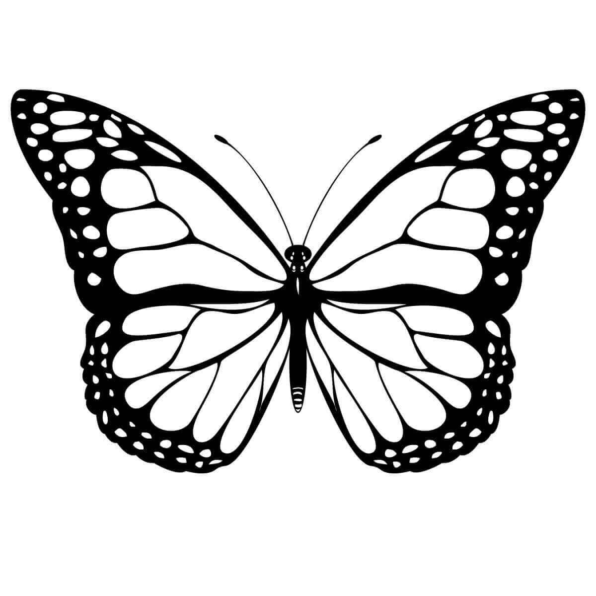 Monarch Butterfly Coloring Pages