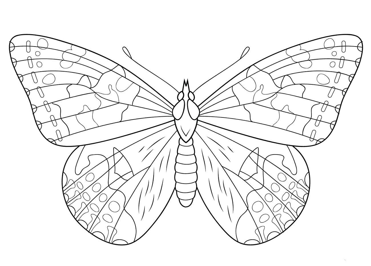 Painted Lady Butterfly Coloring Page