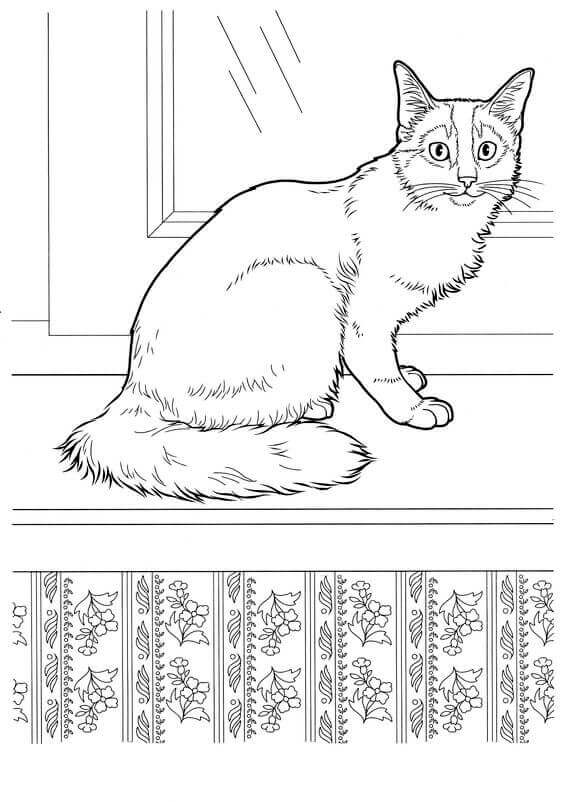 Realistic Kitten Coloring Pages 3