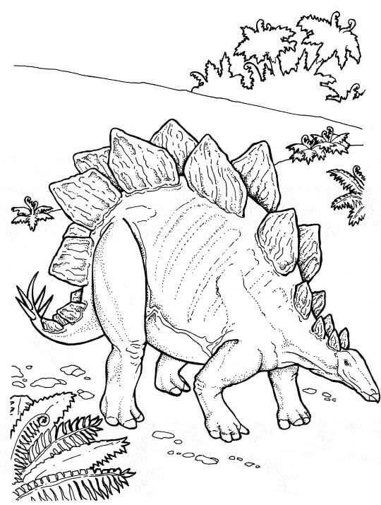 Stegosaurus Dinosaur Coloring Page