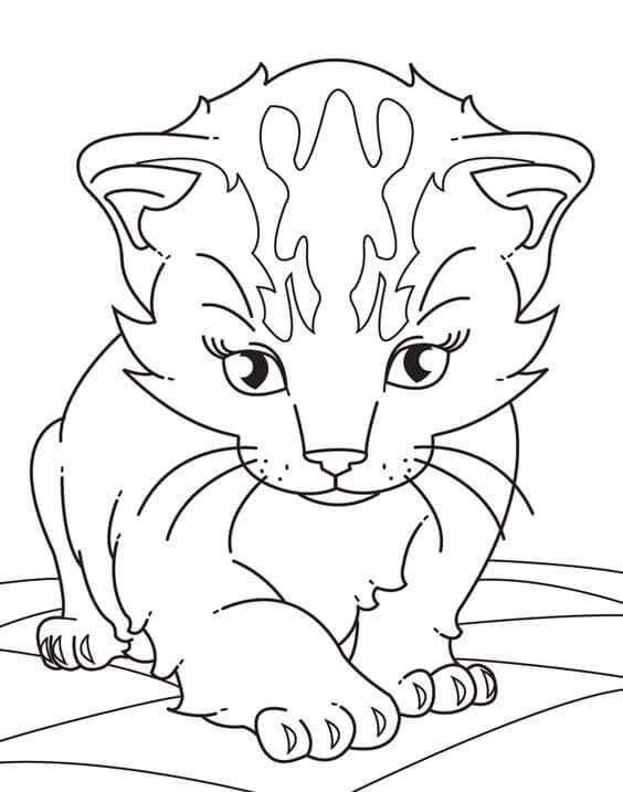 30 Free  Printable Kitten  Coloring  Pages  Kitty Coloring  