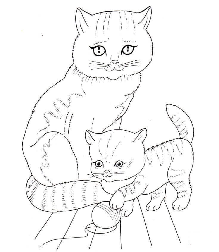 Cat And Kitten Coloring Page