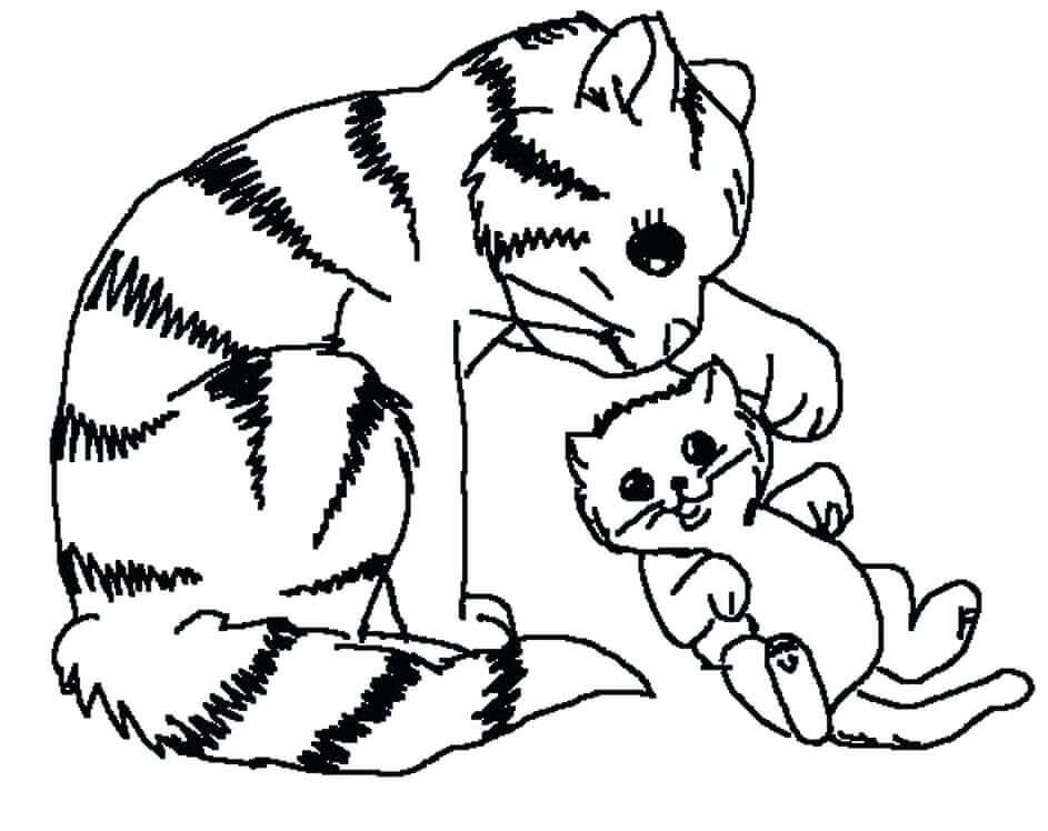Cat And Kitten Coloring Pages
