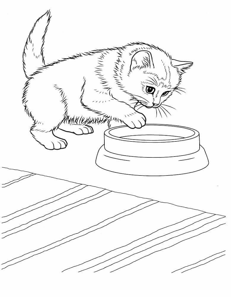 Free Kitten Coloring Pages To Print