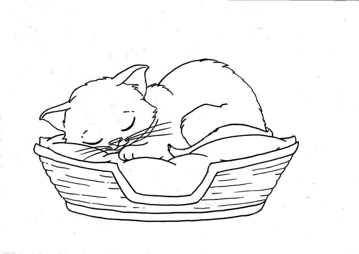 Kitten Coloring Book