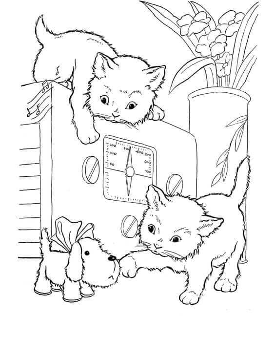 Kitten Coloring Pages To Print