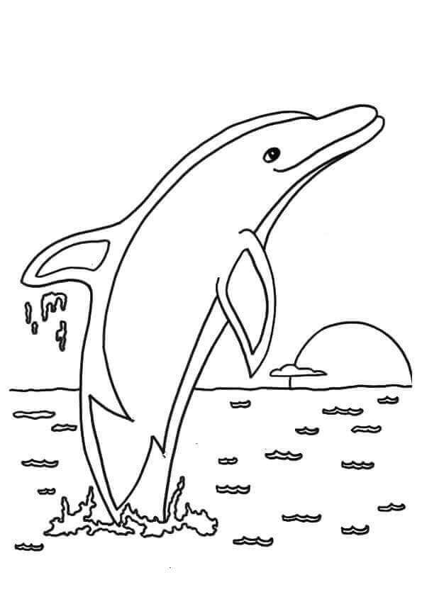Lisa Frank Max Splasher Coloring Page