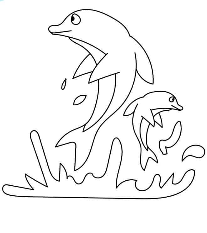 Dolphin Coloring Pages