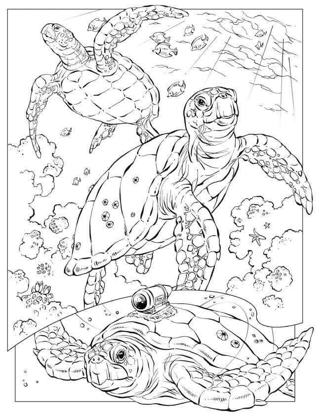 Free Printable Ocean Coloring Pages For Adults