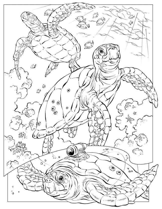 Free Printable Ocean Coloring Pages (Under The Sea)