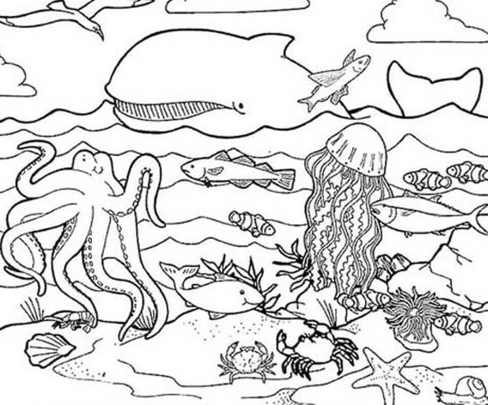 Download Free Printable Ocean Coloring Pages (Under The Sea)