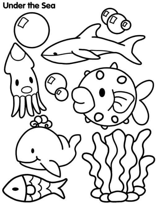 Ocean Animals Coloring Pages