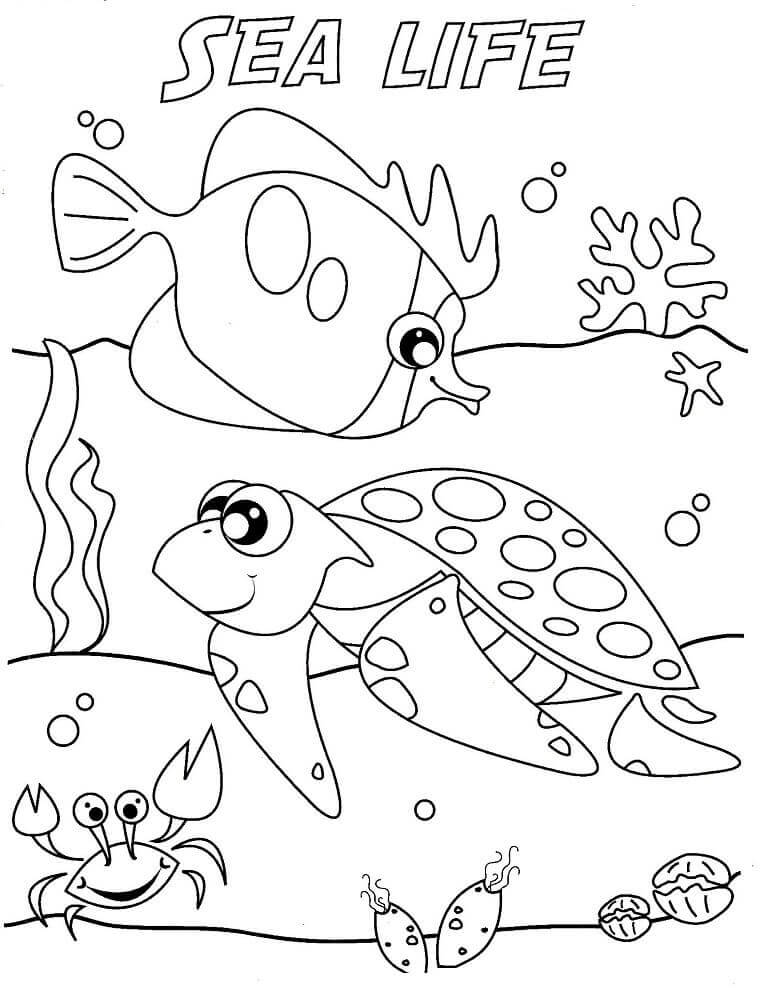 Free Printable Ocean Coloring Pages (Under The Sea)