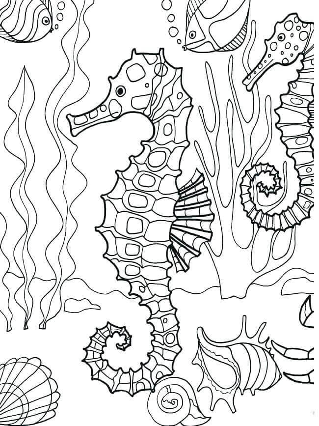 39-underwater-coloring-pages-for-kids