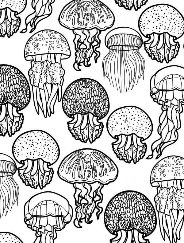 Under The Sea Creatures Coloring Pages