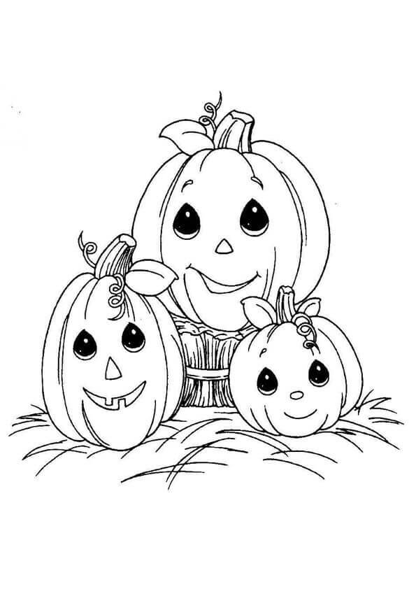 Download 30 Free Printable Pumpkin Coloring Pages - ScribbleFun